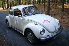 VW 1303