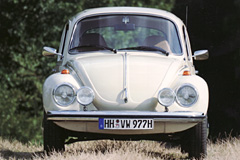 VW 1303