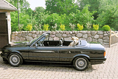 BMW 325 i Cabrio